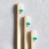 Trio de 3 brosses à dents compostables