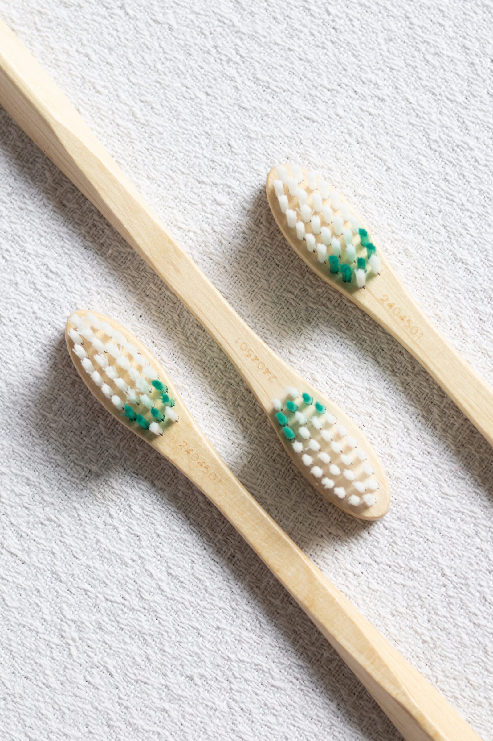 Lot de 3 brosses à dents compostables pour adulte, souple