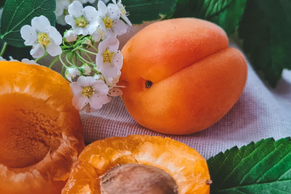 Huile végétale de noyaux d'abricot